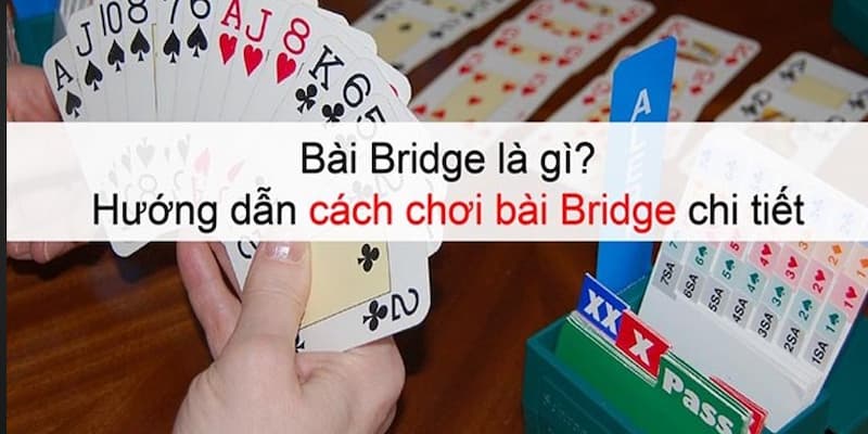 Giới thiệu tổng quan về bài Bridge
